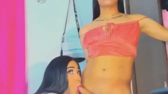 Sexy Tranny Sucking Cock Hard