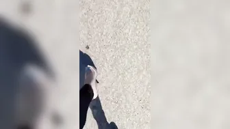Gf BadCat walking her sub