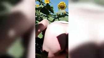 JOI Faucettes dans le winner de Tournesols en FILTHY TALK vous DEFONCEZ sa CHATTE et son CUL