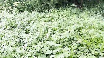 Bbw women gives incredible sexy sloppy hand job inside a park -