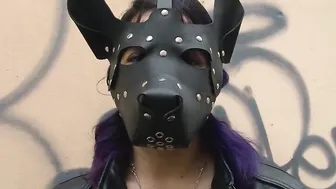 Nymphomaniac metalhead is bound up and humiliated as a pet
