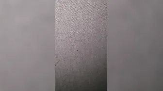 Short vid full version for sale sharing my gf with a african penis