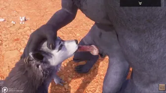Wild Life / Furry Porn with Wolf Cummed