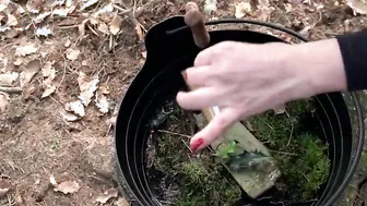 Bombshell porn video – Ich will im Wald Ficken - Episode five