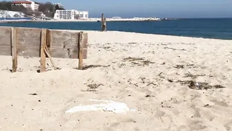 Almost Caught porn video – Risky Outdoors beach sex almost caught