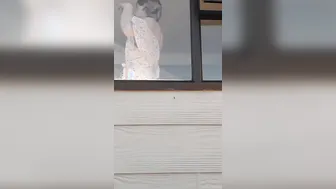 Neighbours wifey catches you window watching and shows you her soak creamy snatch x