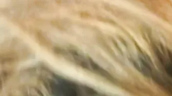 Amazingly Hot cuttie spreads her legs wide and getting her twat