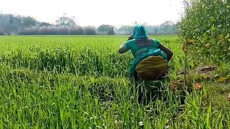 देहाती भौजी को गेहूँ के खेत मे रगड़ के चोदा