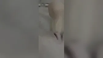 Mega porn video – Mega