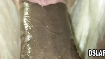 Dsls And Sloppy Fellatio Compilation Starring Sierra Simmons