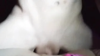 Gets Nailed inside School sluts outfit
