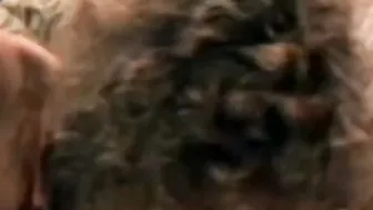 Vintage Early Seventies Oral Sex Barely Legal