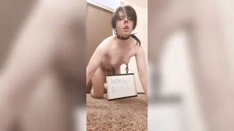 Craving Dick and Degradation