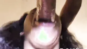 damm beauty egypt thick butt jiggle plowed