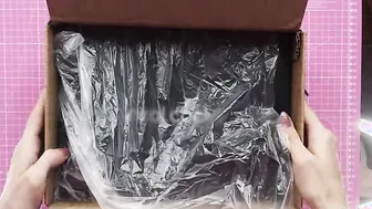Unboxing - Worlds Most Realistic Vibrator RealCock2