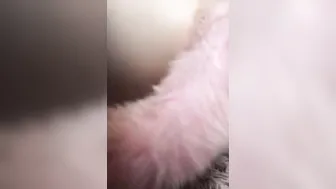 Teenie plays with her holes and inserts her tail.