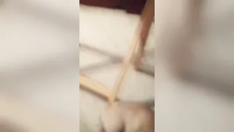 She wants it inside her butt sooo bad but it just wont fit