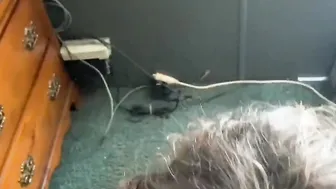 Cuckold Fiance