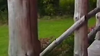 She has a good BOOTY - vol. 01 - (The
