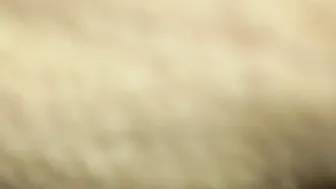 Stepsister ki Gand Marni Padi kyuki mera Lund khada tha