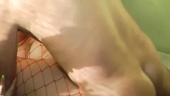 ANAL banged - cum inside the FACE