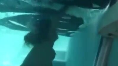 Girl Drowning Underwater Porn - Topless girl drowning underwater 4kPorn.XXX