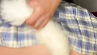 Kitty sluts with plug anal play with his pillow