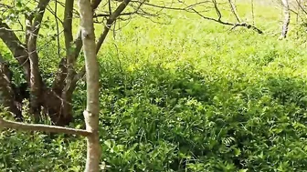 Outdoors sex with a irresistible fiance inside nature