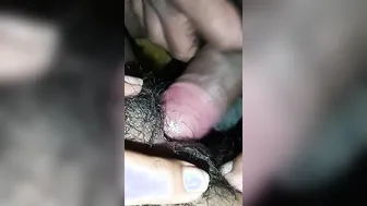 Mi vecino me dio unas rosaditas