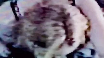 Wild Sex Foreplay hot American Milf Sucking Off n Fucking