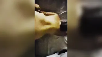 Pull my hair Doggy Style like a bitch