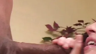 Cameron James Gets Down And Dirty For A Wild Interracial Anal Ride