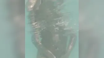 Web porn video – Bratperversions.com Voyeur Beach Underwater Web Cam