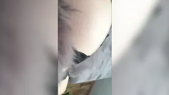 A Super sluts with an Anal Ponytail Likes to be Pounded into