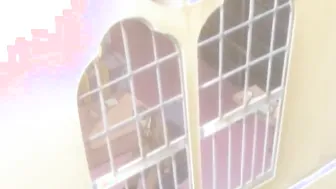 Lovely Virgin Teen Fucked Hardcore Hentai Porn