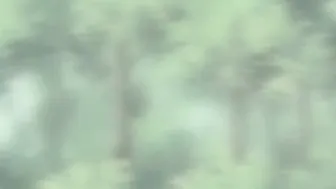 Romantic Anime Sex In The Car Cute Teen Rides A Cock