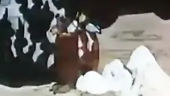 Kurdish Cartoon Sex