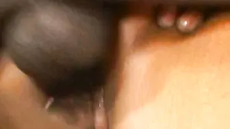 HCVDVX1307
