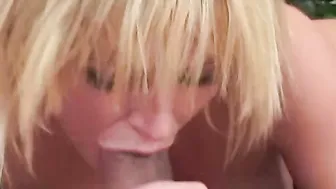 HCVVS0255