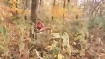 Fremder erwischt und fickt mich im Wald 2