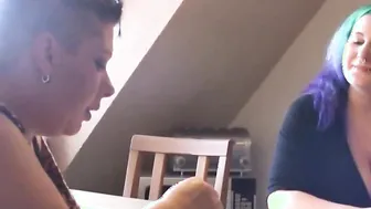 Poppy Rockrose 6