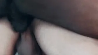 Black stallions fuck each other and their white friend