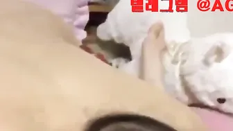 스웨디시 케겔 슬랜더 3썸 한국 야동 텔레그램 AGW66 하숙 유부녀 후회안함 조교 보지살 강남녀