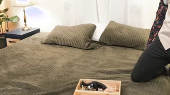 Twink finds dads collection of anal toys