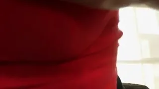 Palomino