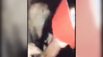 Slave Stella sucks my cock and offers her asshole