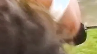 BDSM dyke Summer Cummings riding plastic cock hard