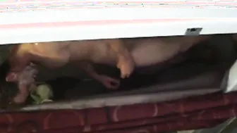 Kiki and Scoot Nude Scene and pussy