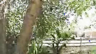 Cythereas Backyard Blowout A Sweaty Encounter with Her Landscapeer