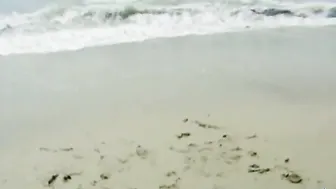 Surfer Dudes Fucking in the Shower